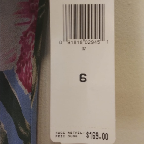 NWT Ralph Lauren 100% Sandwashed Silk Sleeveless Dress- Size 6 - Picture 8 of 11